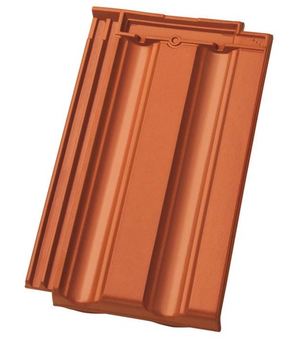  DS10